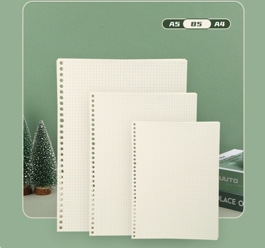 A5 B5 Line Grid 20Holes Loose- - огляд і ціна A5 Spiral Dotted Grid Notebook