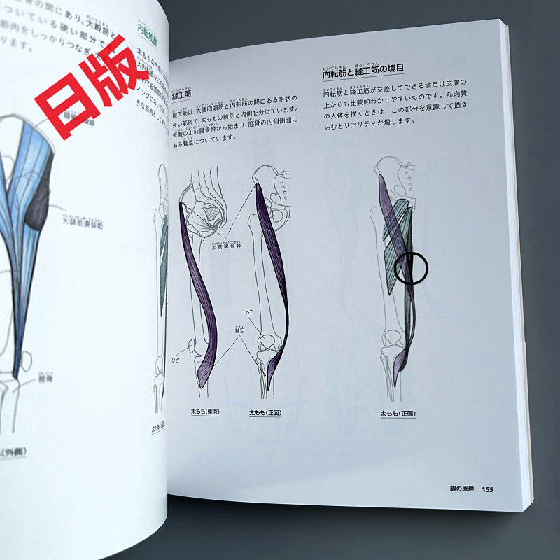 Basics of Human Drawing: From  - огляд і ціна Japanese Manga Drawing Tutorial Book